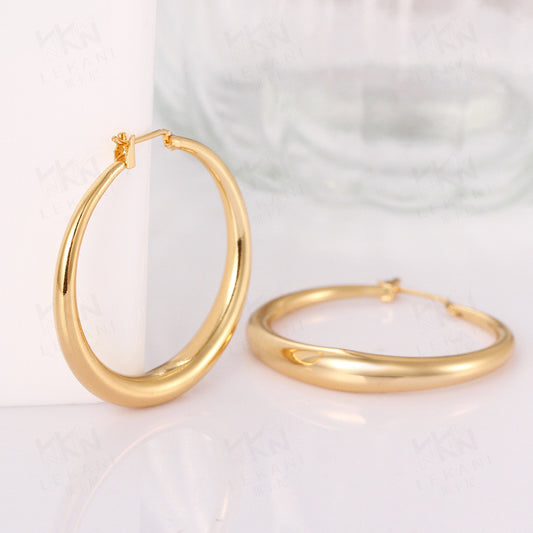 18K Gold plated Earrings Novel style Hoop style